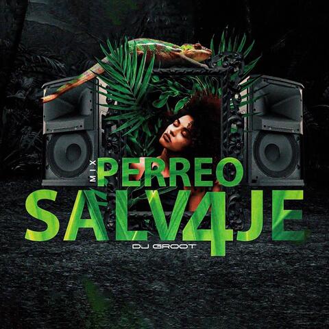 Mix Perreo Salvaje