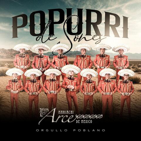 Popurrí de Sones/ Relámpago Viejo/ El Son del Burro/ El Pitayero