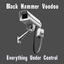 Everything Under Control