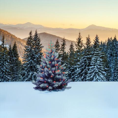 Winter Solstice