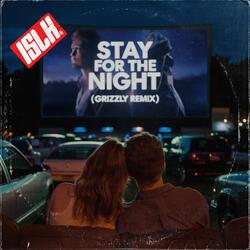 Stay for the Night (Grizzly Remix)