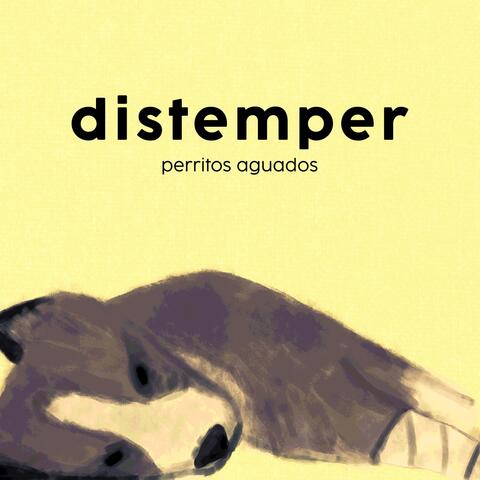 distemper