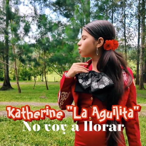 No Voy a Llorar