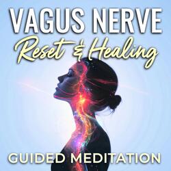 Vagus Nerve Reset & Healing Guided Meditation