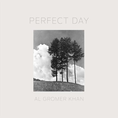 Perfect Day