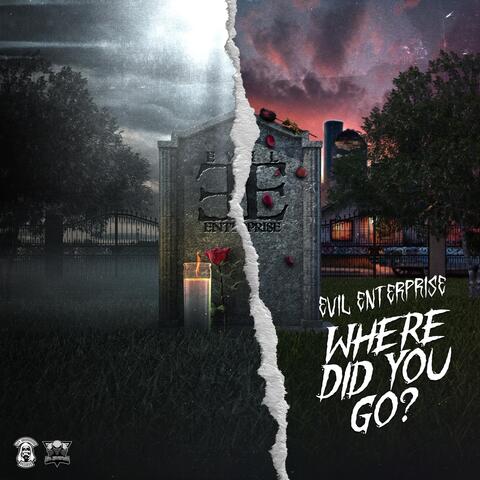 Where Did You Go?