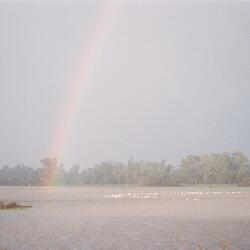 a rainbow arches over flamingos wading in a lagoon