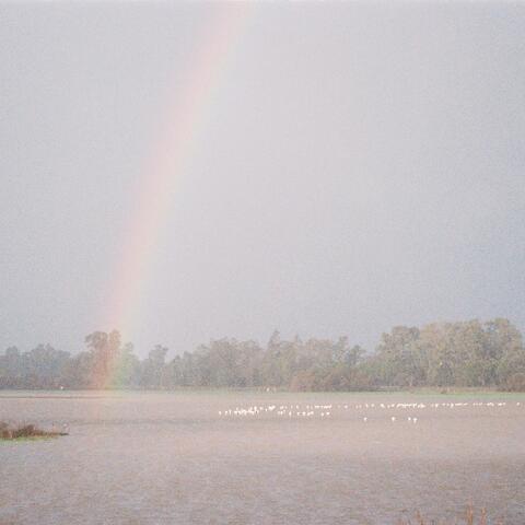 a rainbow arches over flamingos wading in a lagoon