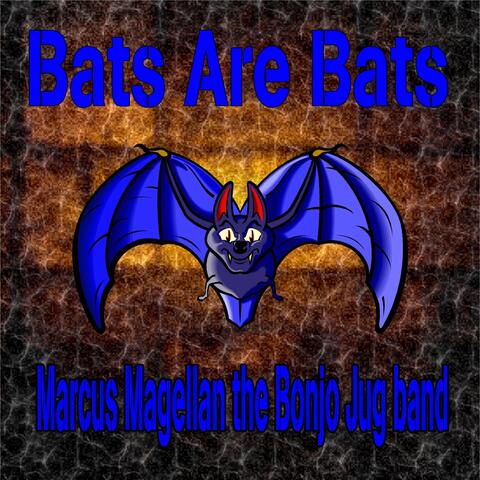 Bats Are Bats