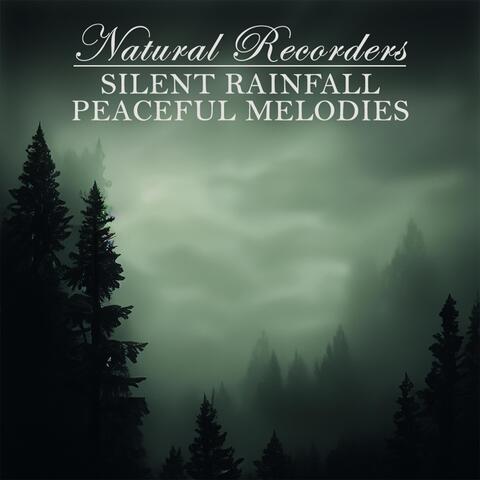 Silent Rainfall Peaceful Melodies