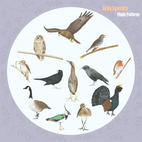 Flight Patterns