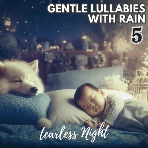Gentle Lullabies with Rain 5