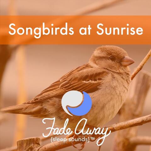 Fade Away Sleep Sounds