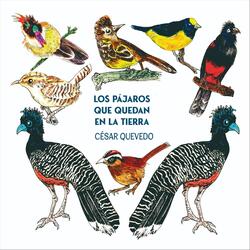 Zamba para No Olvidar