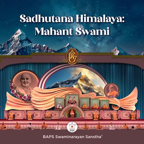 Sadhutana Himalaya: Mahant Swami