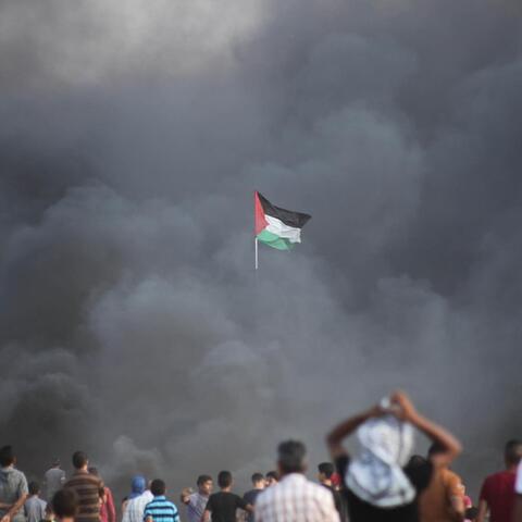 Free Palestine (2024 Version)