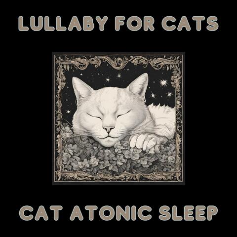 Lullaby for Cats