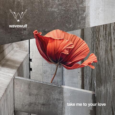 Take Me to Your Love - Single