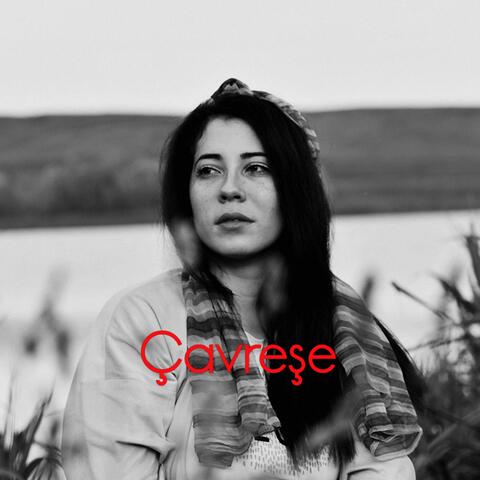 Çavreşe
