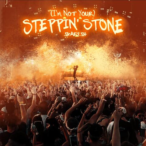 (I'm Not Your) Steppin' Stone