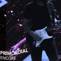 Primordial