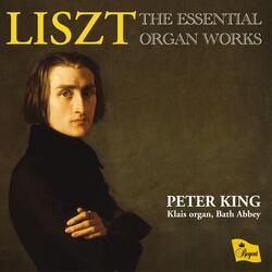 Variations on 'Weinen, klagen, sorgen, zagen', S. 673