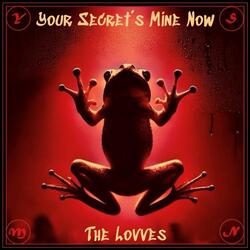 Your Secret's Mine Now