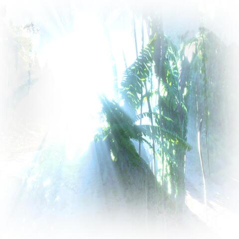 Lights (Remix)