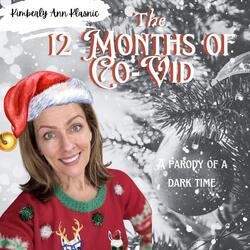 The 12 Months of Co-Vid
