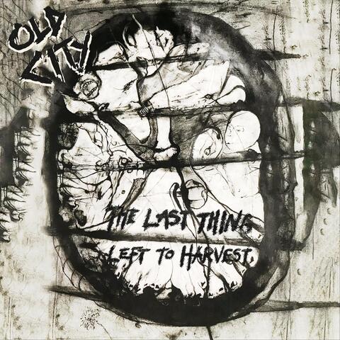 The Last Thing Left to Harvest