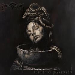 Pulls of Darkness
