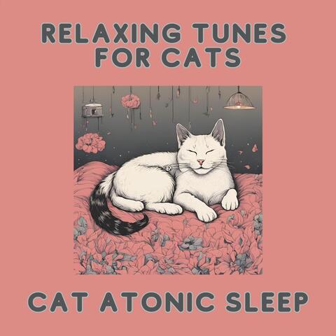 Relaxing Tunes for Cats