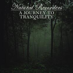 Breathing in the Quiet