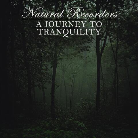 A Journey to Tranquility