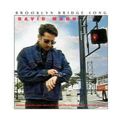 Brooklyn Bridge Song (Radio Edit)