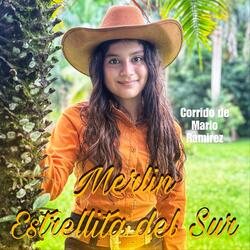 Corrido de Mario Ramirez