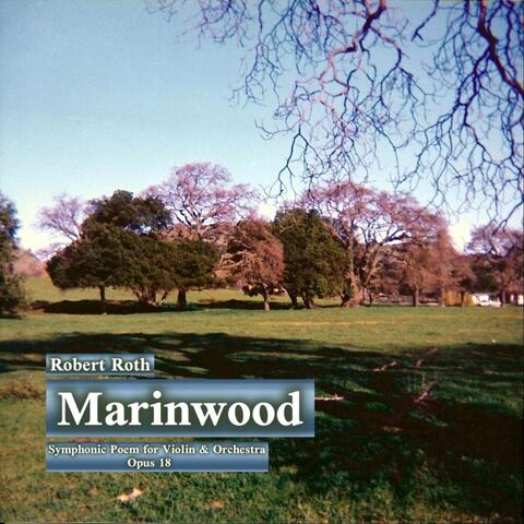 Marinwood (Symphonic Poem for Violin & Orchestra), Opus 18