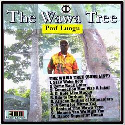 Roots of the Wawa Tree