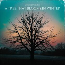 A Tree That Blooms in Winter