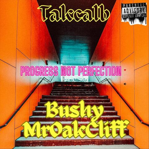 Progress Not Perfection