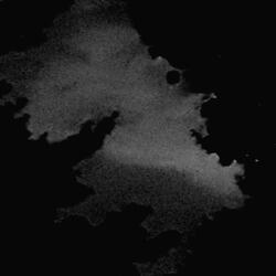 Remnants of Those We've Left Behind