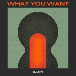 What You Want