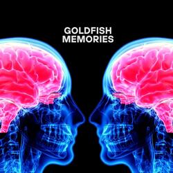 The Yellow Eyes of the Owl