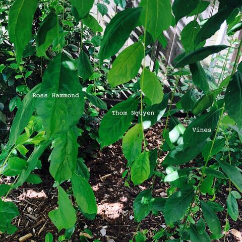 Vines
