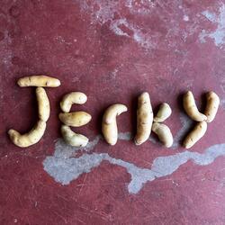 Jerky