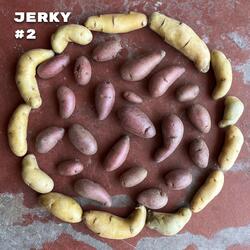 Jerky (Ergonomic Doggy Mix)