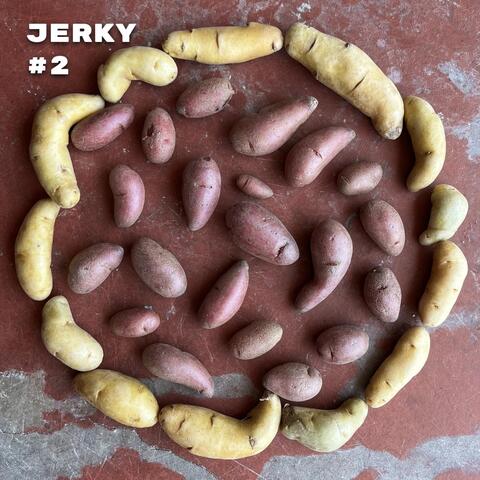 Jerky #2