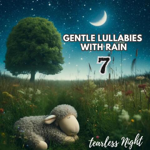 Gentle Lullabies with Rain 7