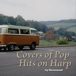 Knockin' on Heaven's Door (Instrumental Version)