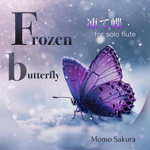 Frozen Butterfly